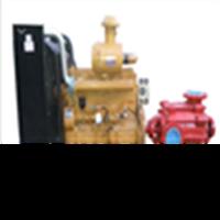 diesel engine pump for fire fighting