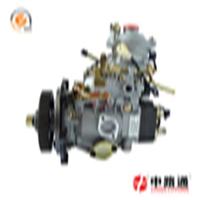 Bosch VE Pumps 1900L005 fuel injection pump price