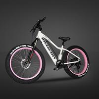 ELECTRIC BIKE/PEDELEC-TS-EB003