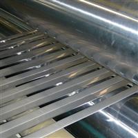 Stainless Steel Strips