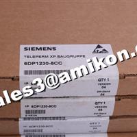 SIEMENS 6ES7134-4FB00-0AB0 + 6ES7193-4CB20-0AA0 analog electronic module