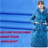 READY GOODS ultrathin soft handfeeling downproof water resistant 20D 400T shiny nylon winter down jacket fabric