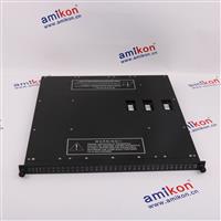 Triconex 4119 Enhanced Intelligent Module