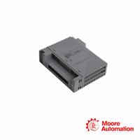 AAI143-S00 S1 Analog Input Module