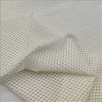Breathable Water Droplets Shape 90% Nylon 10% Spandex 75D 4 Way Stretch Mesh Fabric for Garment Shoes Dress
